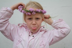 rorvig_06