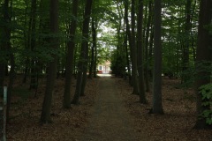 rorvig_16
