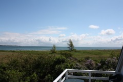 rorvig_36